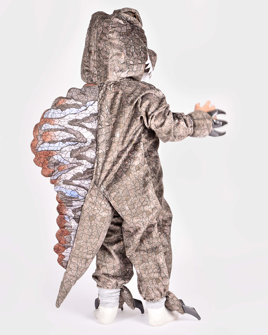 barn iklädd gråmönstrad dinosauriedräkt med stor sköld på ryggen och vadderad svans visas snett bakifrån