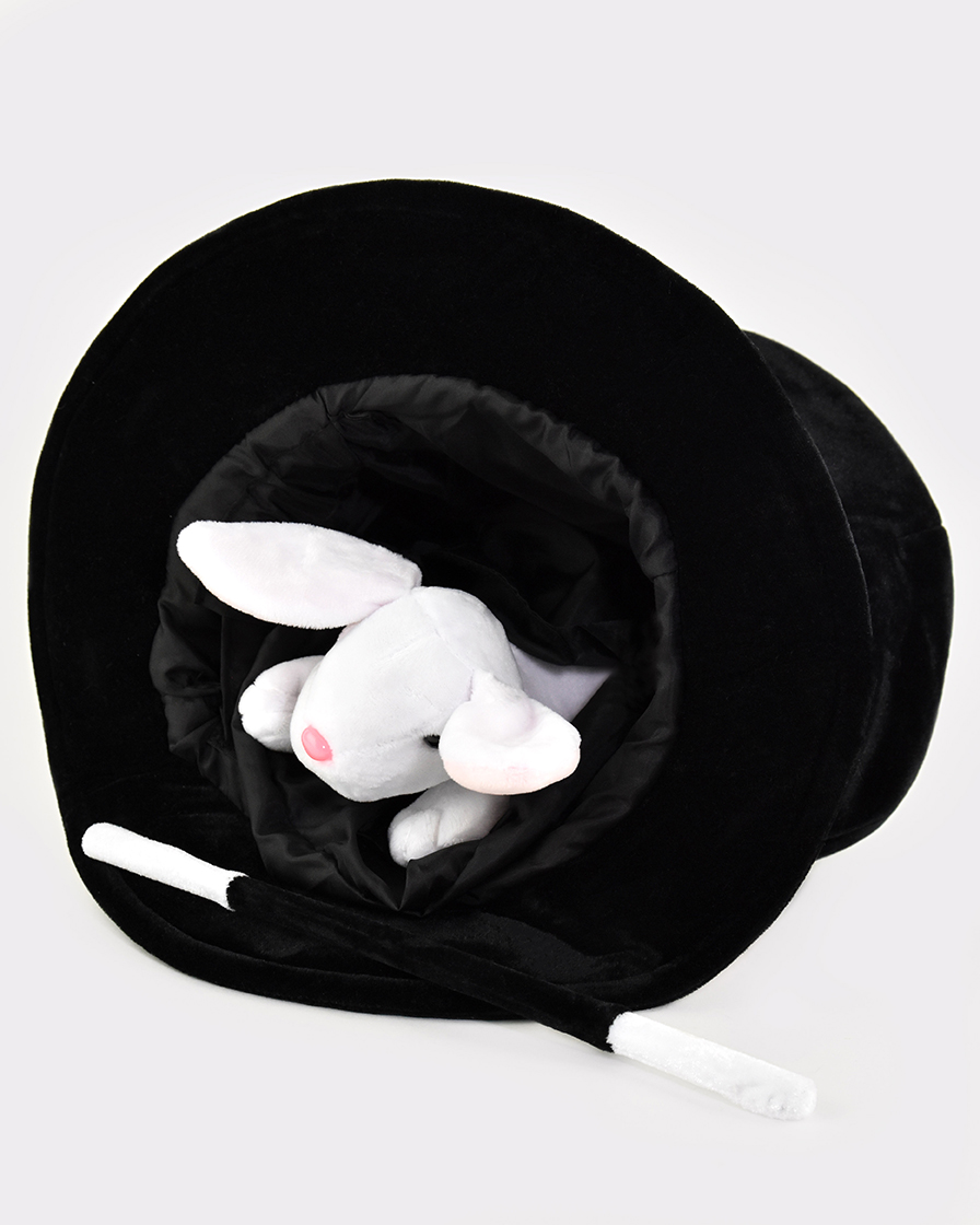 svart trollerihatt med vit kanin och sammetsklädd trollstav i svart och vitt